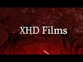 Entrenamiento Basico En Sony Vegas - Keyframes - Ep 2