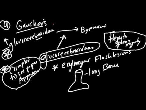 Lysosome Storage Disorders Made Simple!