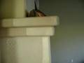 phoenix paint contractor