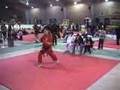 Bassai-Dai-kata-with