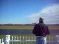 Beautiful low pass Gas RC P-51 Mustang