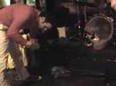 Fatal Flying Guilloteens - Tiger vs Gator	