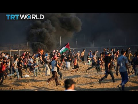 Israel's Illegal Blockade of Palestinian Civilians in Gaza has doubled Unemployment to 50%