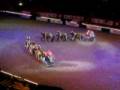 6-spann Sthlm int horse show