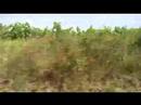 Near Orvieto, Italy - 21 June 2007 - Part 11