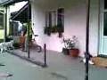 videos de TITA nervos.3gp