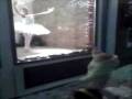 the little would-be ballerina