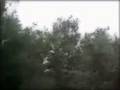 Better Days - Paul John Doucette (with video)