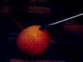 Zabawy z wysokim napi?ciem #5 - Mandarin under voltage :D Zabawy z wysokim napi?ciem #5 - Mandarin under voltage :D