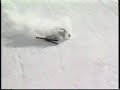 Skiing crashes wipeouts bloopers
