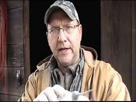 how to dry cure bacon uk