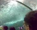 Ocean Park 2 - Abz