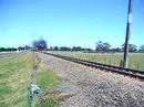 Glenbrook Vintage Railways steam engine Ja 1250 