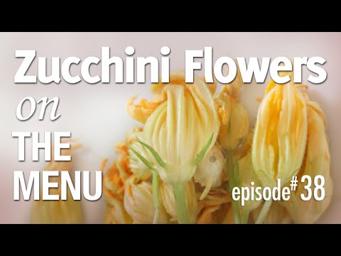 how to harvest zucchini blossoms