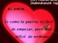 Imagenes de amor, fraces, te quiero