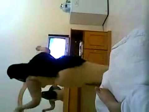 اطياز محجبات