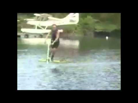 The Water Bird – Whatever Next?