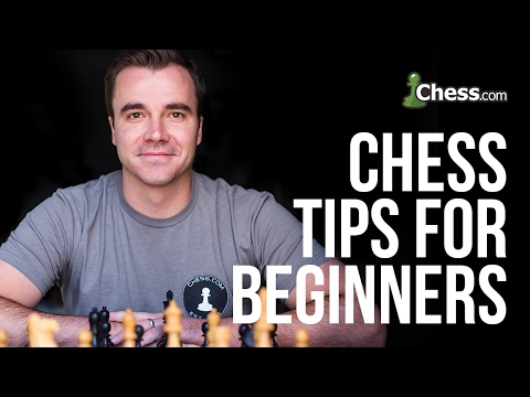 chess knight chess knight