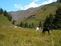 SAQARTVELO - საქართველო