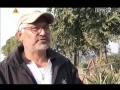 Ram Bamjan 1 - PL