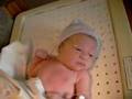 Alaina Lilly Nassar
