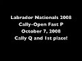 Cally Lab Nationals 2008