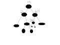 Binary Tree [1/3]