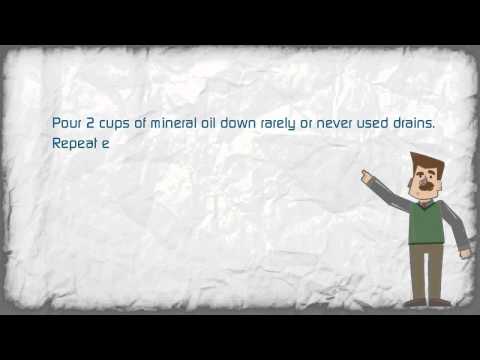 how to eliminate sewer smell