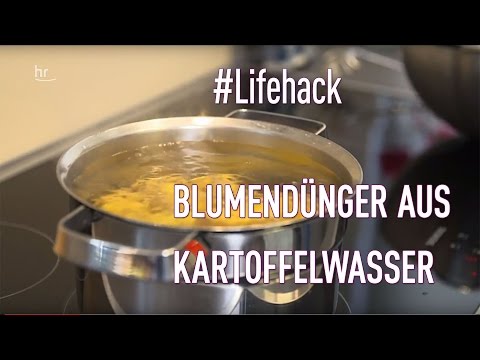 Lifehack: Blumendünger aus Kartoffelwasser