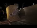 Kjell vs. Zhu Zhu Hamster