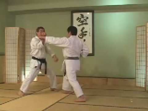 Tekki Sandan Bunkai by H.Kanazawa