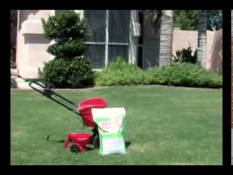 how to fertilize turf