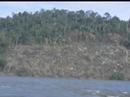 Rainforest Depletion