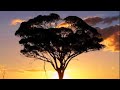 Beautiful Mystery – Telecast