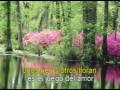 MUSICA ROMANTICA Moby Dick Ilusion Karaoke