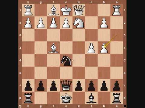chess chess