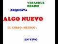 videos de algo nuevo te seguire
