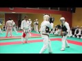 Nippon Kempo Sawayam