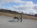 Hula Hoop