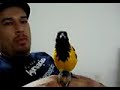 Nosso Currupi�o \"Marello\"!!!