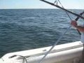 Marco Island - Kingfish Fishing Marco Island - Kingfish Fishing