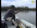 a big catfish a big catfish