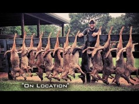 trapping - Predator control is an integral part of managing your deer herd. Most land managers concentrate their trapping efforts through the winter months. The summer ...