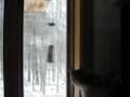 cat & birds cat & birds