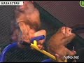Видеоновость В зоопарке в Караганде обезьян отогревают глинтвейном 