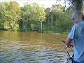 Two Longnose Gar Caught Two Longnose Gar Caught