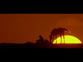 Hidalgo trailer