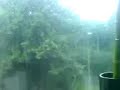 Weather report