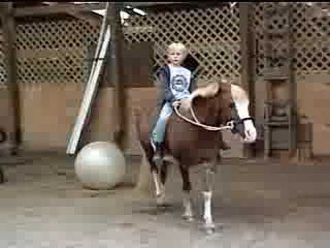 ginuwine ride my pony