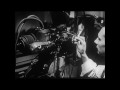 Facts about projection, Temujin Doran